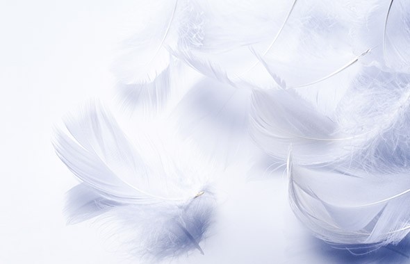 Кожа и материалы Natuzzi comfortpiuma