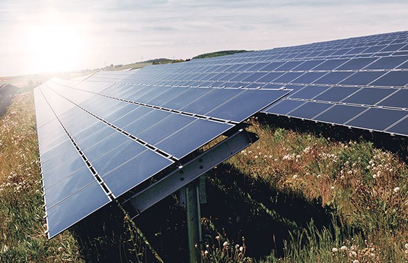 Ценности Natuzzi valori